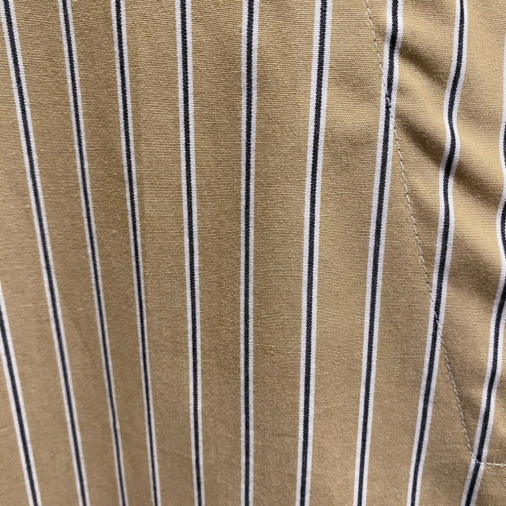 Banana Republic Tan Striped Sleeveless Dress - Picture 3 of 5